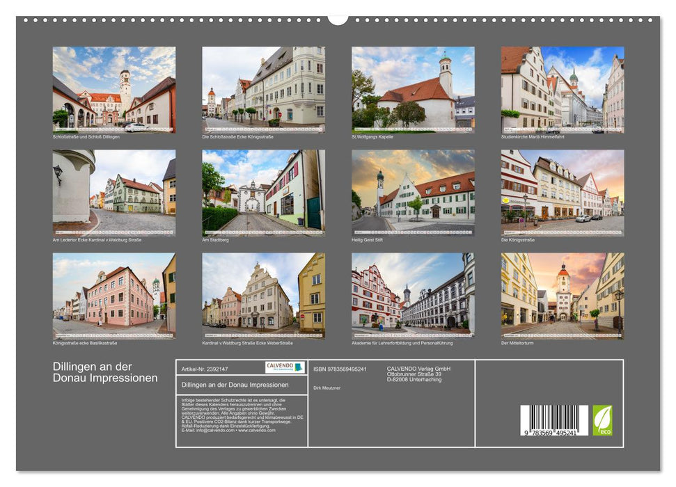 Dillingen an der Donau Impressionen (CALVENDO Premium Wandkalender 2027)