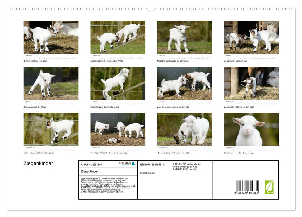 Ziegenkinder (CALVENDO Premium Wandkalender 2027)