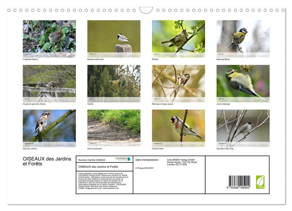 OISEAUX des Jardins et Forêts (CALVENDO Calendrier mensuel 2027)