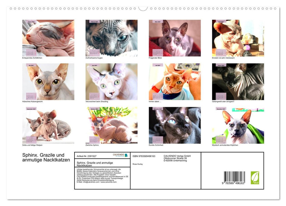 Sphinx. Grazile und anmutige Nacktkatzen (CALVENDO Wandkalender 2027)