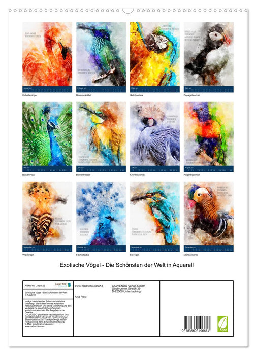 Exotische Vögel - Die Schönsten der Welt in Aquarell (CALVENDO Wandkalender 2027)