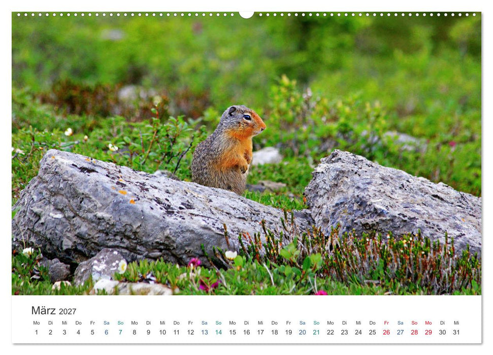 Icefields Parkway in Kanada (CALVENDO Wandkalender 2027)