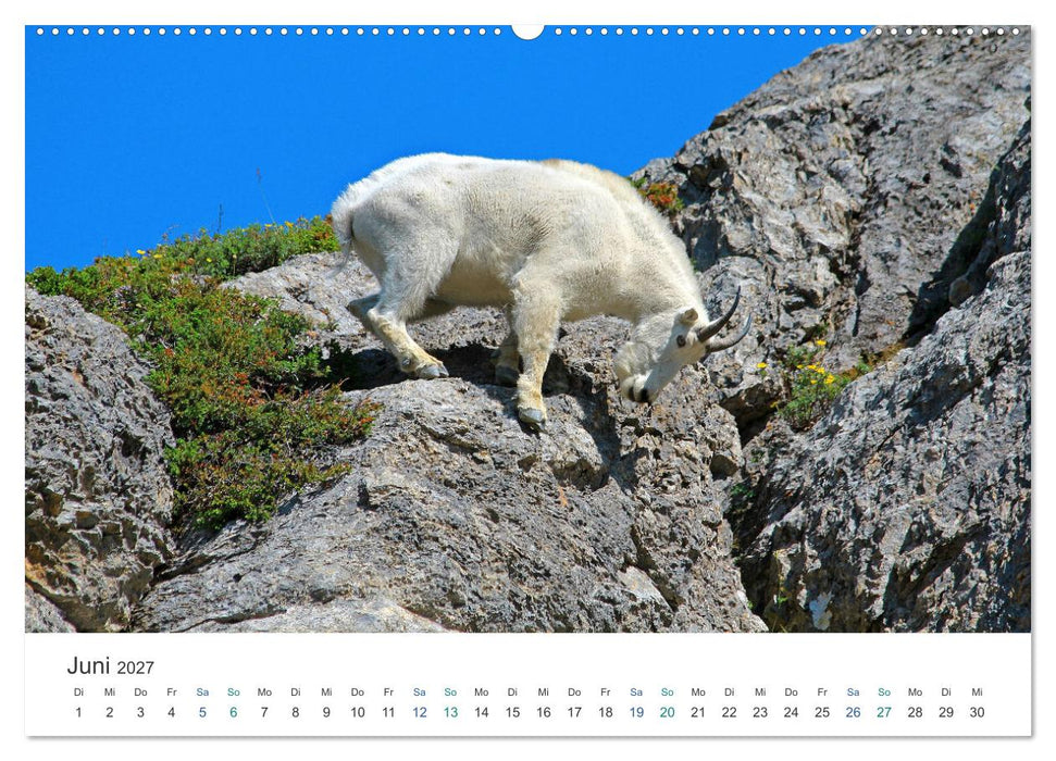 Icefields Parkway in Kanada (CALVENDO Wandkalender 2027)