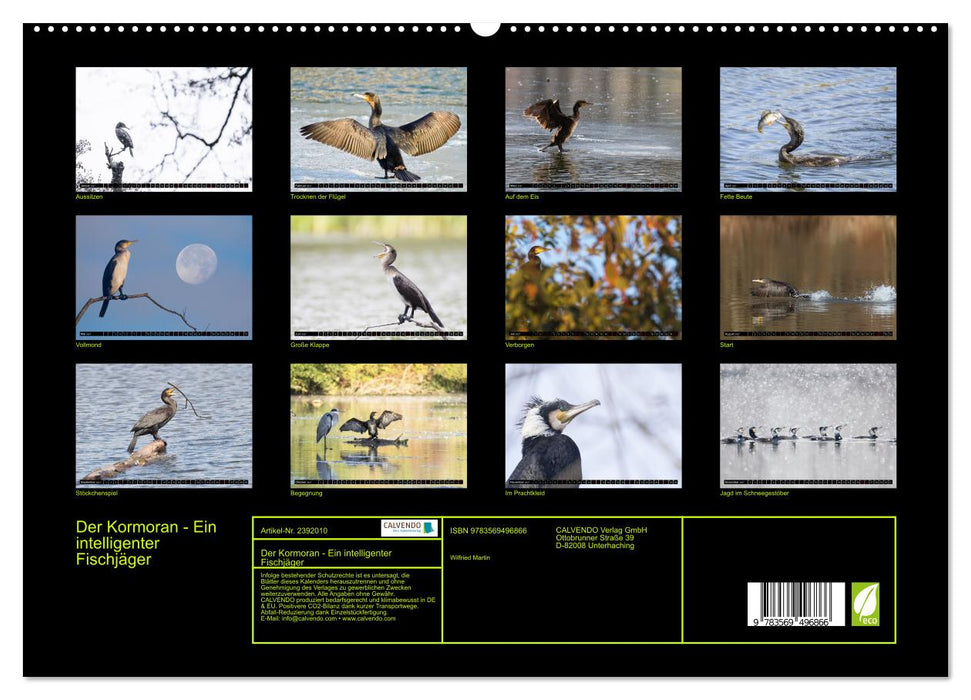 Der Kormoran - Ein intelligenter Fischjäger (CALVENDO Wandkalender 2027)