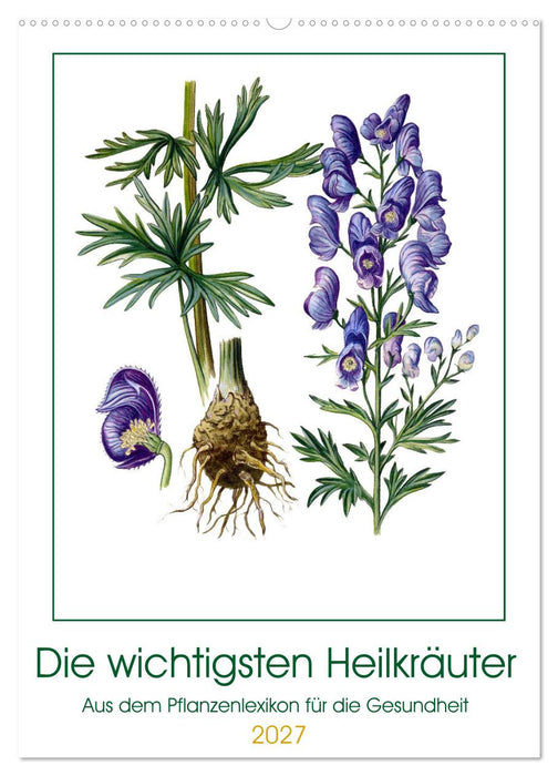 Die wichtigsten Heilkräuter (CALVENDO Wandkalender 2027)