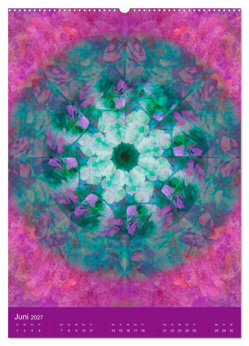 Meditative Pflanzenmandalas (CALVENDO Wandkalender 2027)