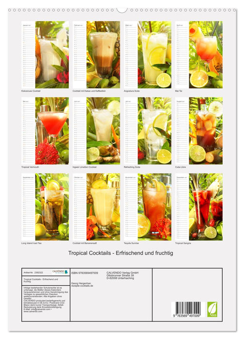 Tropical Cocktails - Erfrischend und fruchtig (CALVENDO Premium Wandkalender 2027)