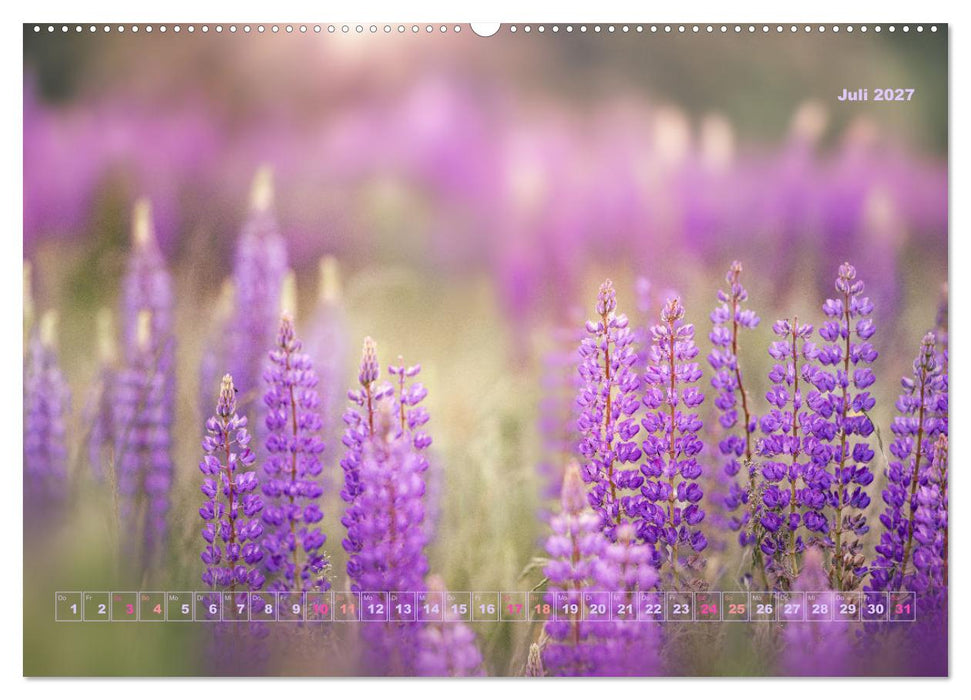Magische Natur in NRW 2027 (CALVENDO Premium Wandkalender 2027)