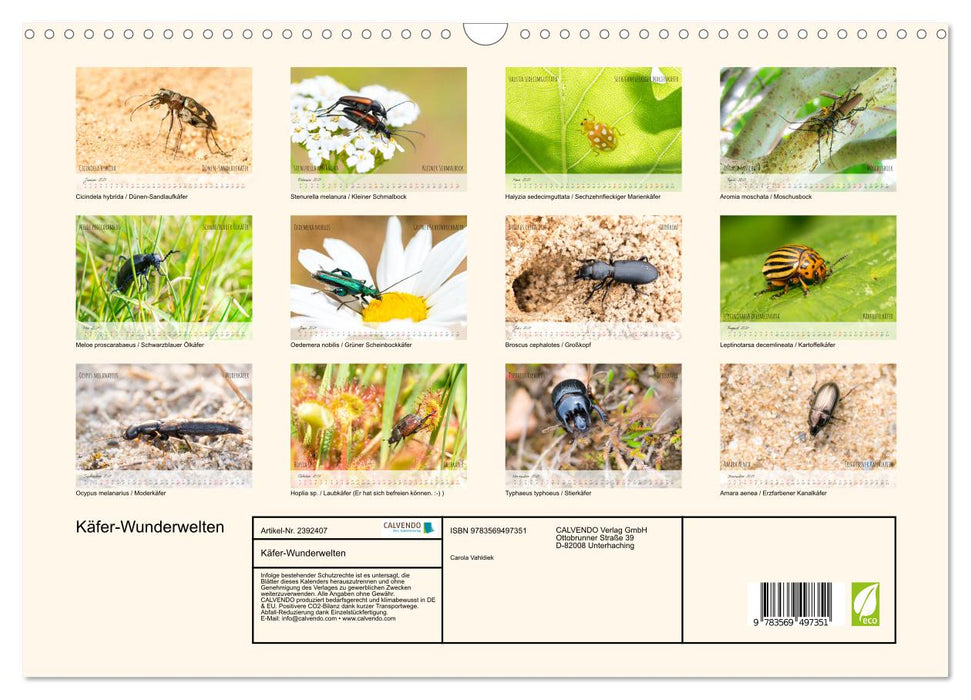 Käfer-Wunderwelten (CALVENDO Wandkalender 2027)