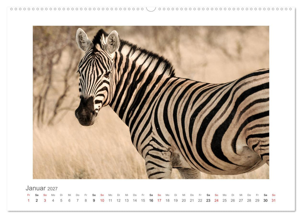 Namibia - unterwegs mit Julia Hahn (CALVENDO Premium Wandkalender 2027)