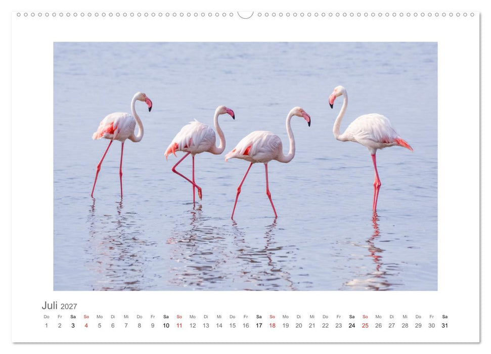 Namibia - unterwegs mit Julia Hahn (CALVENDO Premium Wandkalender 2027)