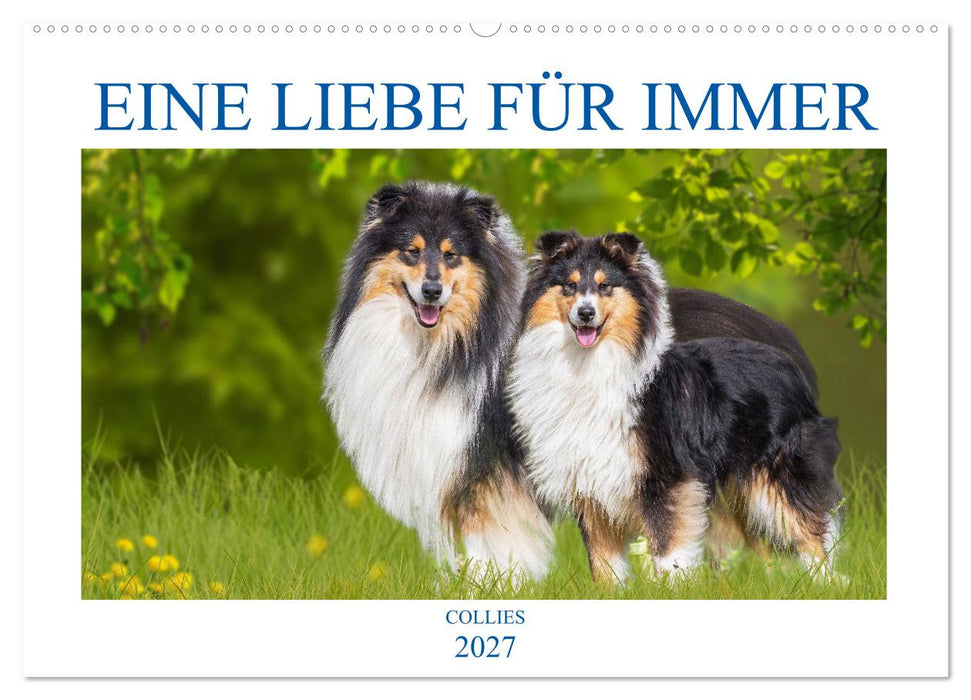 Eine Liebe für immer - Collies (CALVENDO Wandkalender 2027)