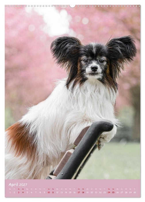 Flora Canidae - der Hunde-Blühpflanzen-Kalender (CALVENDO Premium Wandkalender 2027)