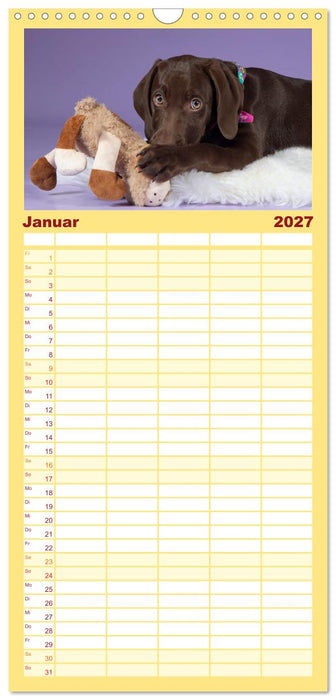 Achtung die Welpen kommen. (CALVENDO Familienplaner 2027)