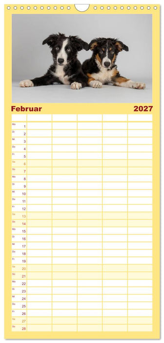 Achtung die Welpen kommen. (CALVENDO Familienplaner 2027)