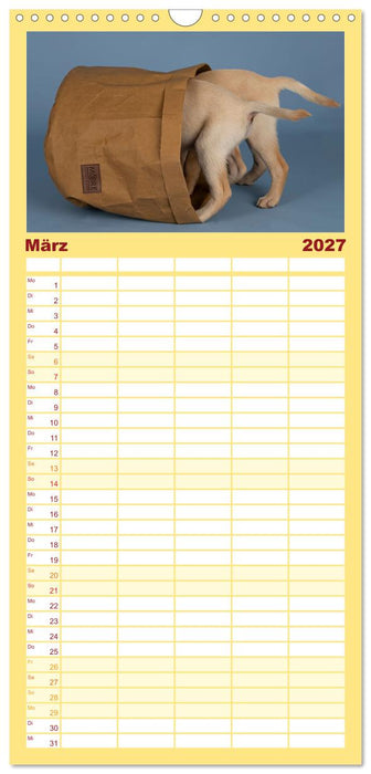 Achtung die Welpen kommen. (CALVENDO Familienplaner 2027)