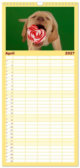 Achtung die Welpen kommen. (CALVENDO Familienplaner 2027)
