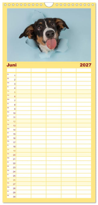 Achtung die Welpen kommen. (CALVENDO Familienplaner 2027)
