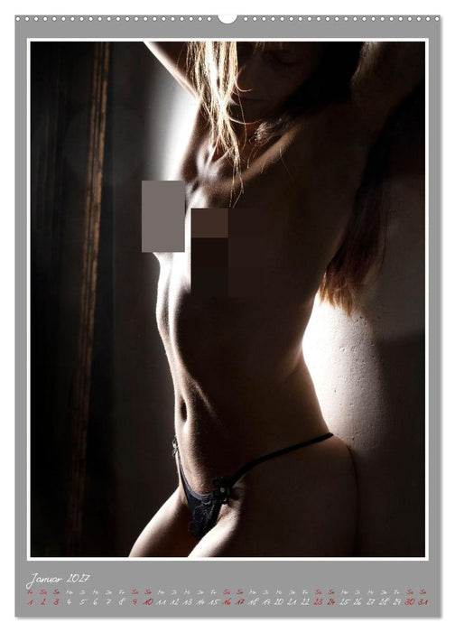 Ästhetische EROTIC Photographie (CALVENDO Wandkalender 2027)
