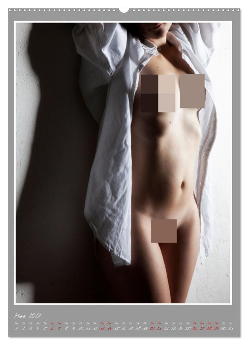 Ästhetische EROTIC Photographie (CALVENDO Wandkalender 2027)