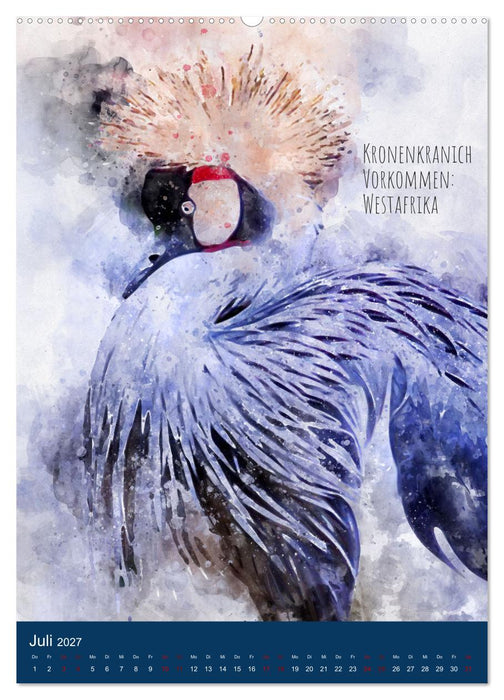Exotische Vögel - Die Schönsten der Welt in Aquarell (CALVENDO Premium Wandkalender 2027)