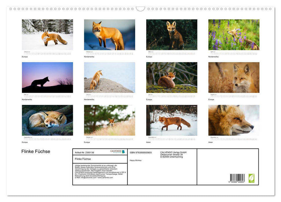 Flinke Füchse (CALVENDO Wandkalender 2027)
