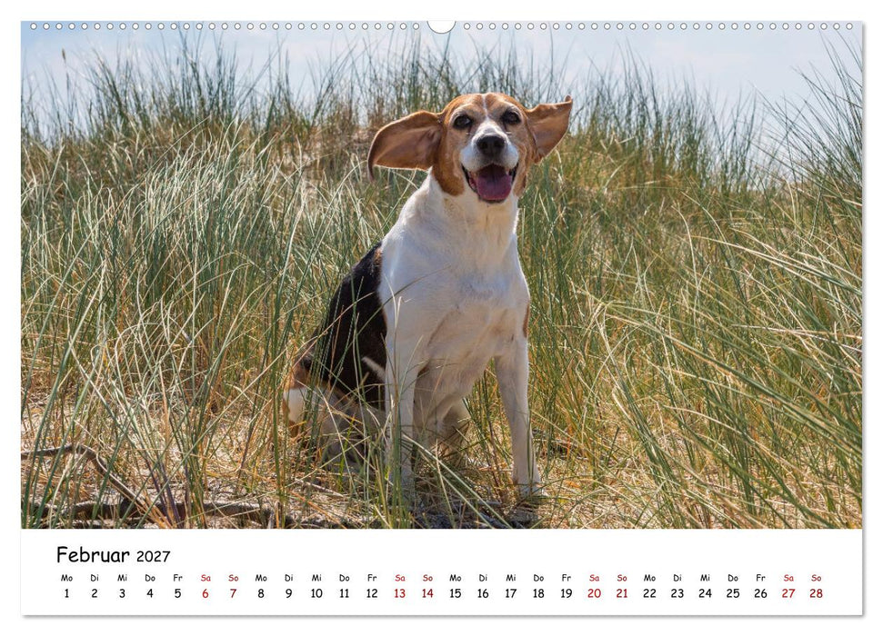 Strandurlaub mit Hund (CALVENDO Premium Wandkalender 2027)