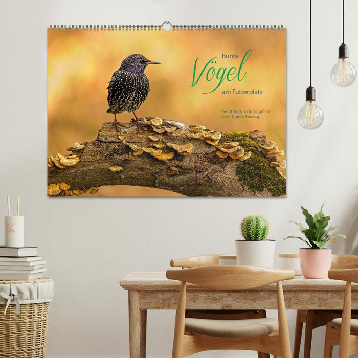 Bunte Vögel am Futterplatz (CALVENDO Wandkalender 2027)
