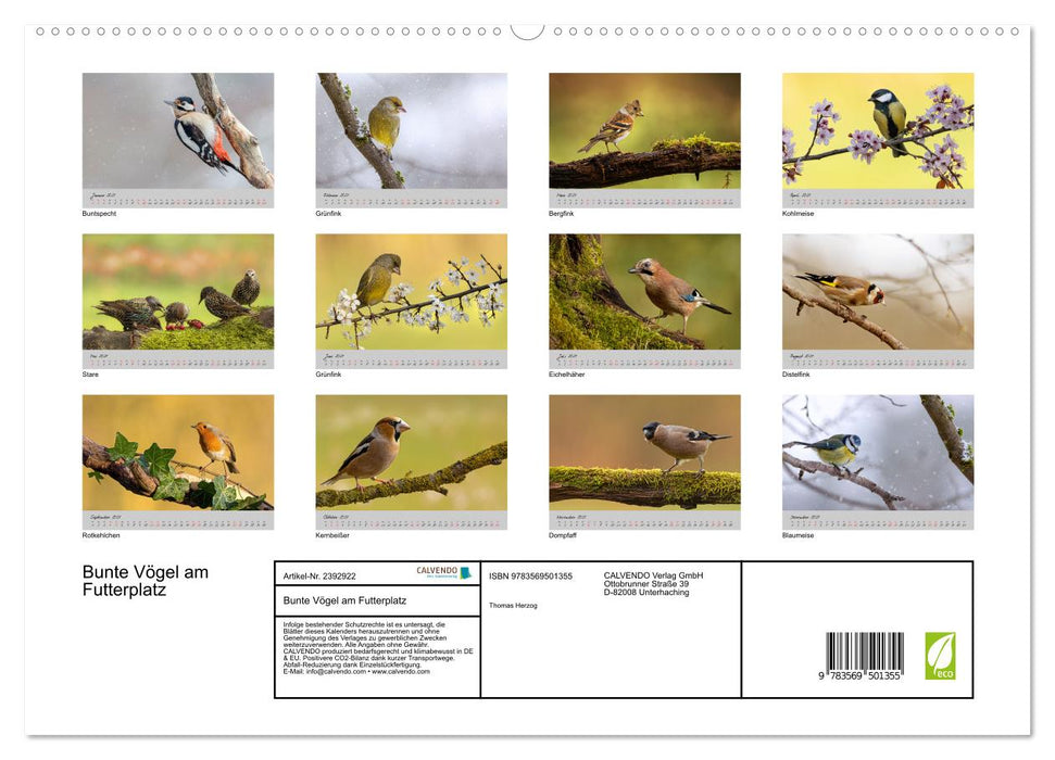 Bunte Vögel am Futterplatz (CALVENDO Wandkalender 2027)