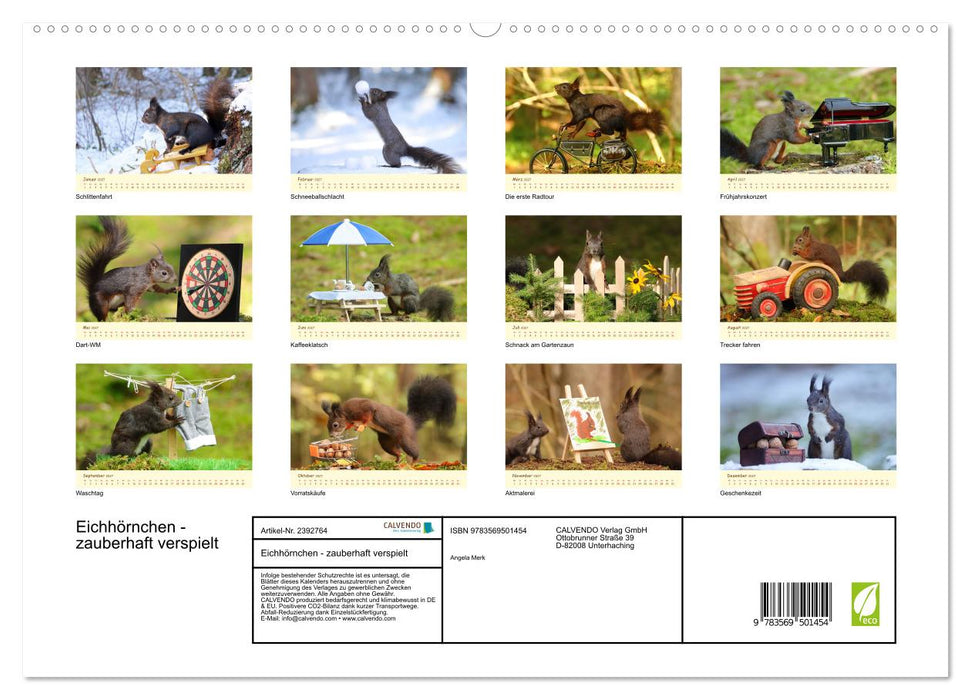 Eichhörnchen - zauberhaft verspielt (CALVENDO Wandkalender 2027)