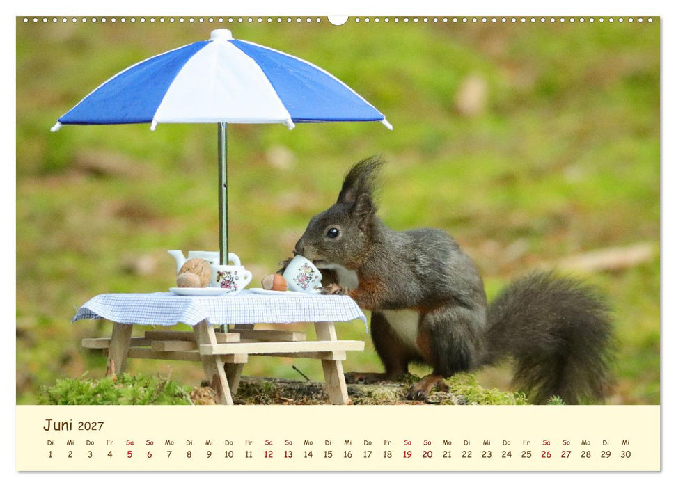 Eichhörnchen - zauberhaft verspielt (CALVENDO Wandkalender 2027)