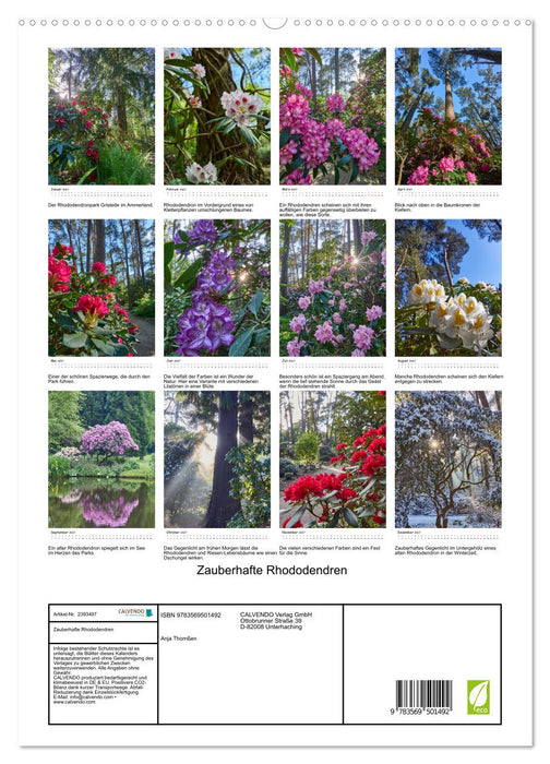Zauberhafte Rhododendren (CALVENDO Premium Wandkalender 2027)