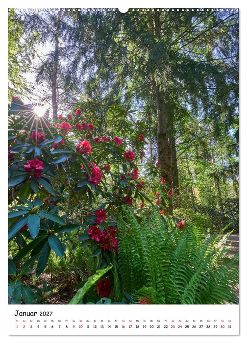 Zauberhafte Rhododendren (CALVENDO Premium Wandkalender 2027)