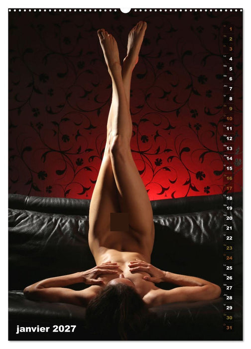 Le canapé (CALVENDO Calendrier mensuel 2027)