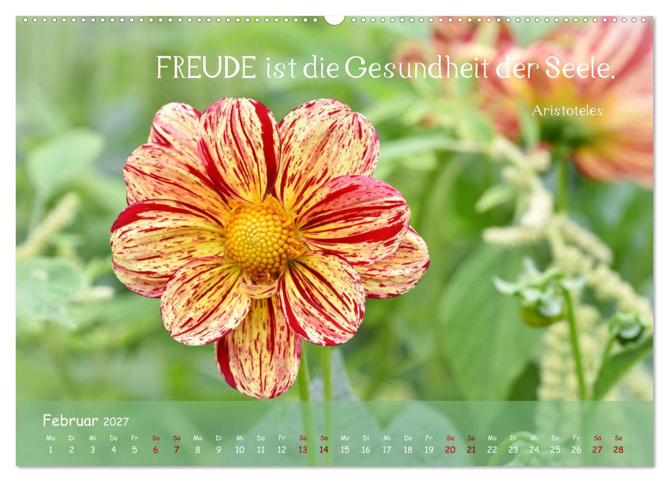 Blütenweisheiten (CALVENDO Premium Wandkalender 2027)