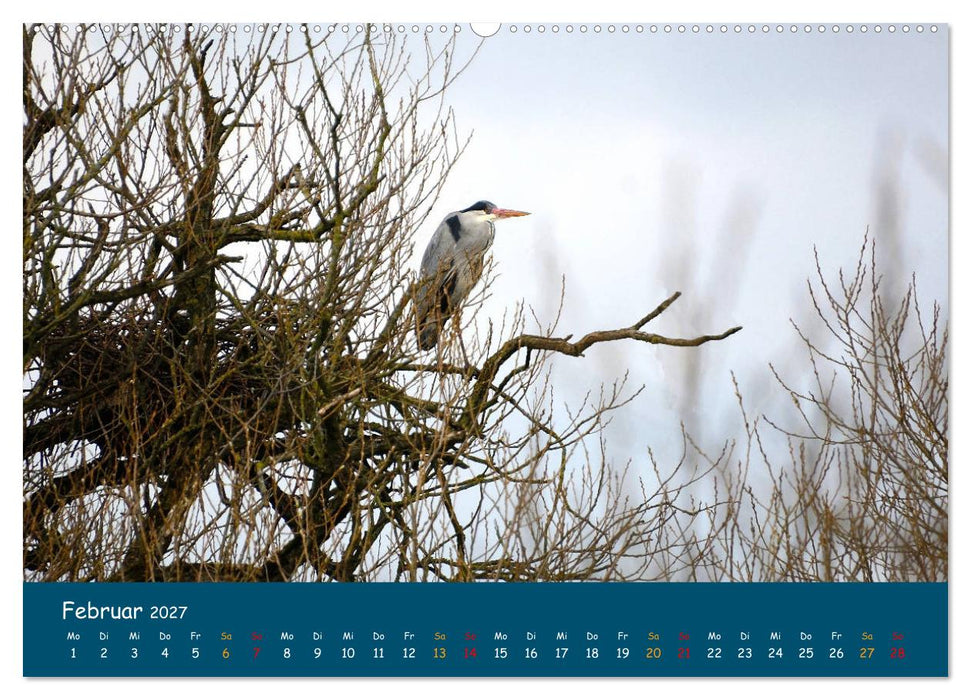 Naturschutzgebiet Wümme (CALVENDO Wandkalender 2027)