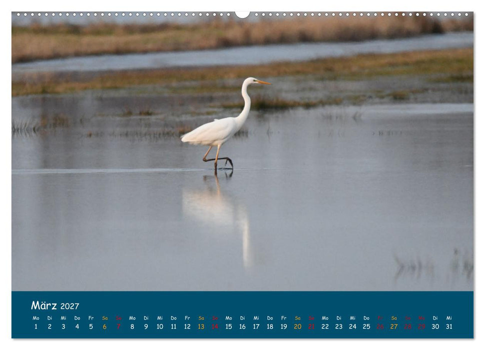 Naturschutzgebiet Wümme (CALVENDO Wandkalender 2027)