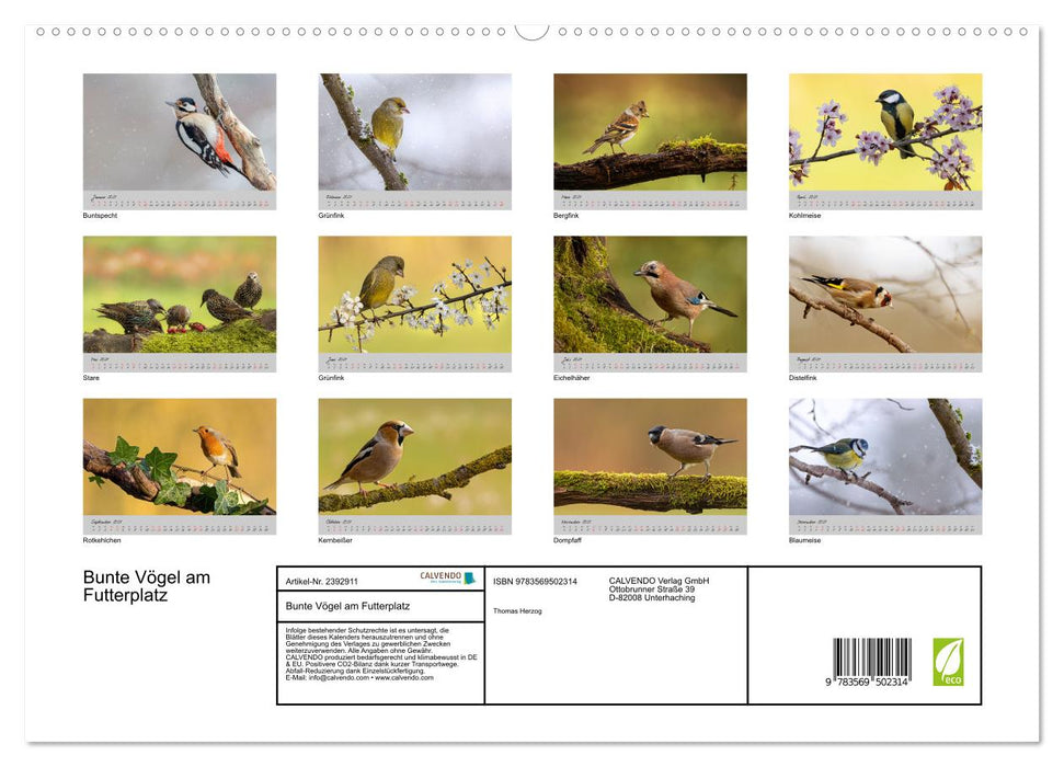 Bunte Vögel am Futterplatz (CALVENDO Premium Wandkalender 2027)