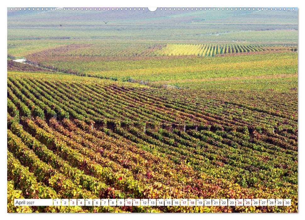 Weinlandschaften (CALVENDO Premium Wandkalender 2027)