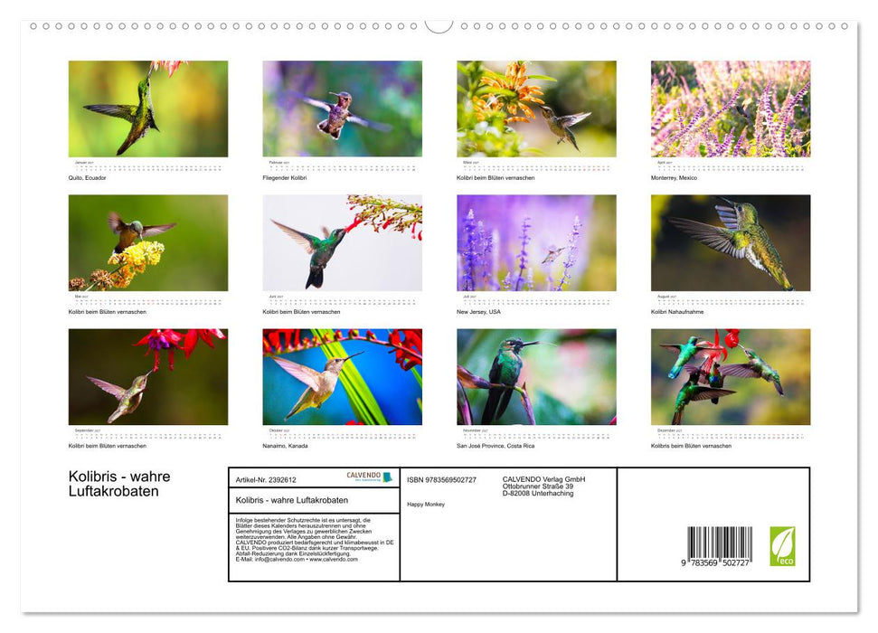 Kolibris - wahre Luftakrobaten (CALVENDO Premium Wandkalender 2027)