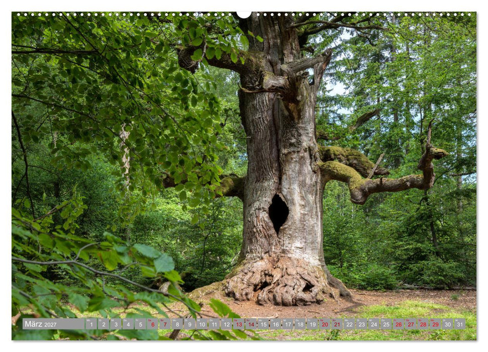 WESERBERGLAND - Land der stillen Schönheit (CALVENDO Wandkalender 2027)