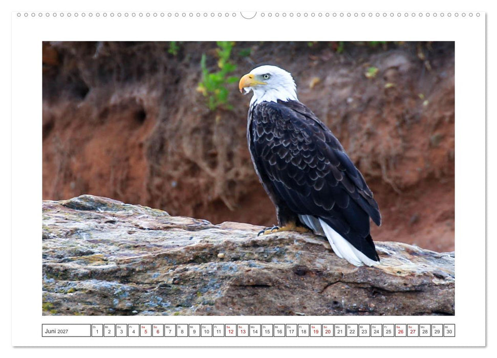 Nova Scotia - Neue Bilderreise durch Kanadas Osten (CALVENDO Premium Wandkalender 2027)