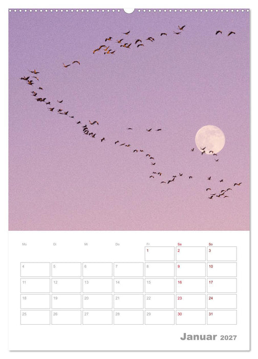 VOLLMOND-Planer - Im Licht der Nacht (CALVENDO Wandkalender 2027)