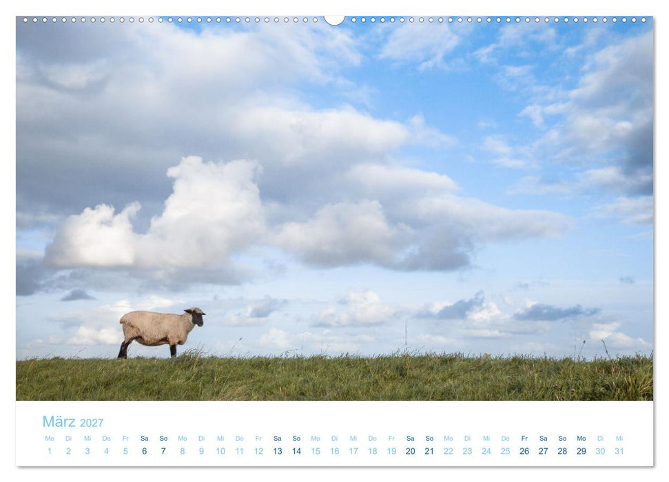Mehr Nordsee (CALVENDO Wandkalender 2027)