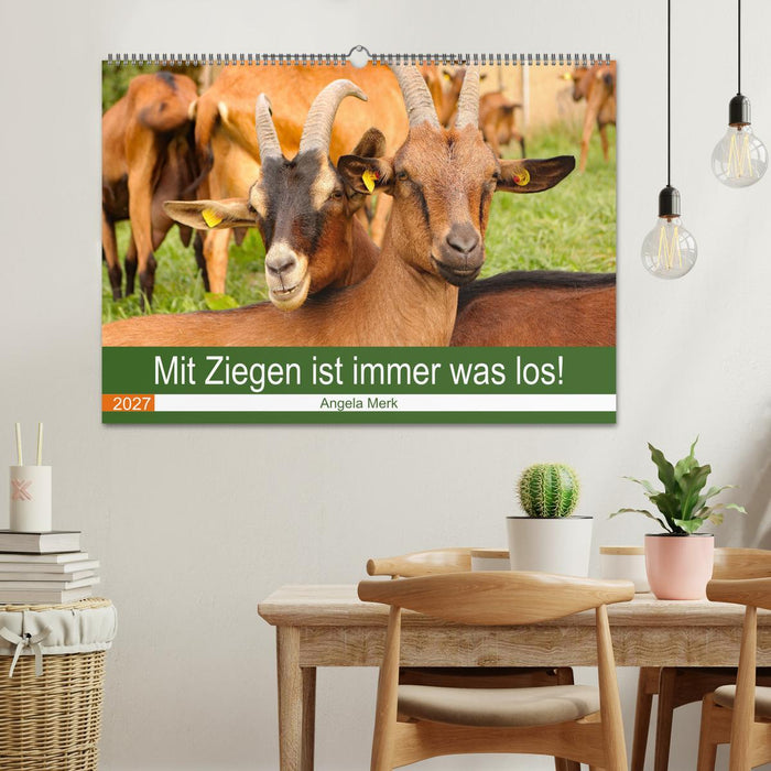 Mit Ziegen ist immer was los! (CALVENDO Wandkalender 2027)