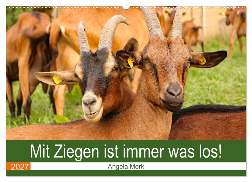 Mit Ziegen ist immer was los! (CALVENDO Wandkalender 2027)