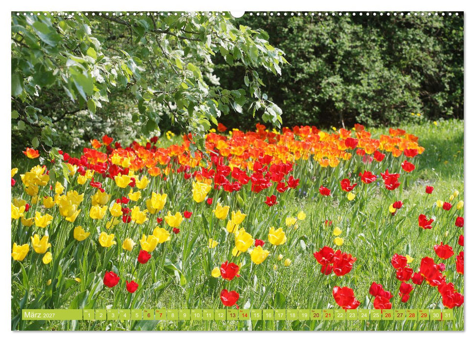 Liebenswerte Blüten (CALVENDO Premium Wandkalender 2027)