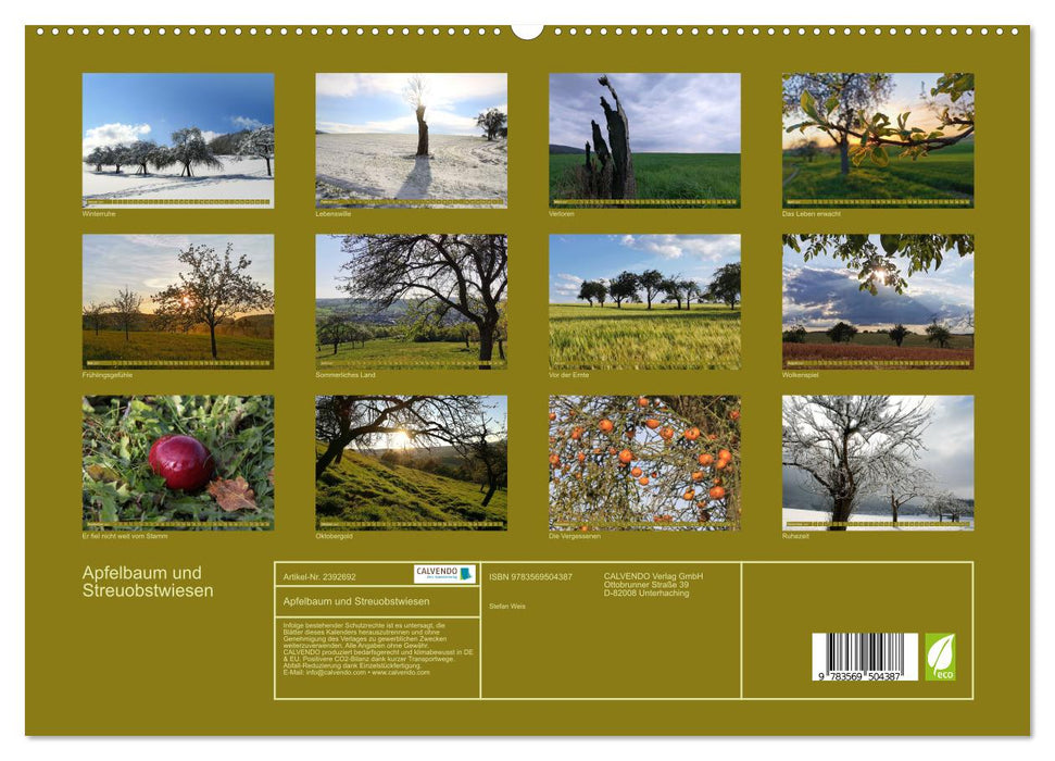 Apfelbaum und Streuobstwiesen (CALVENDO Premium Wandkalender 2027)