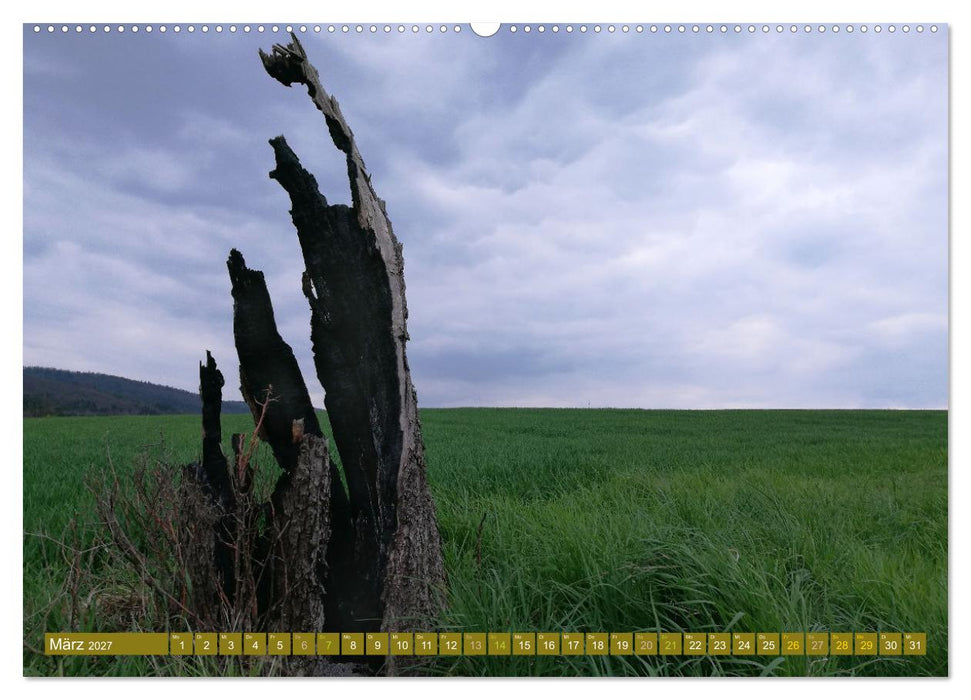 Apfelbaum und Streuobstwiesen (CALVENDO Premium Wandkalender 2027)