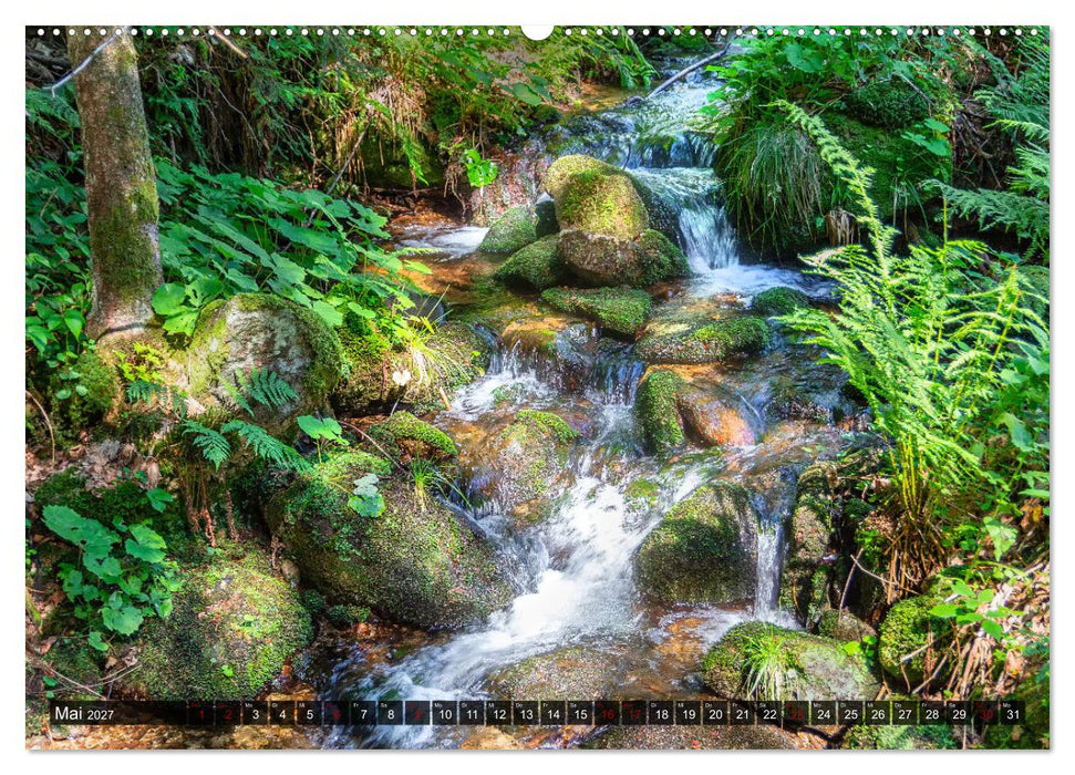 Bewegtes Wasser (CALVENDO Wandkalender 2027)